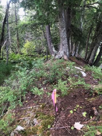 06 Swett Brook Lane Weld ME 04285