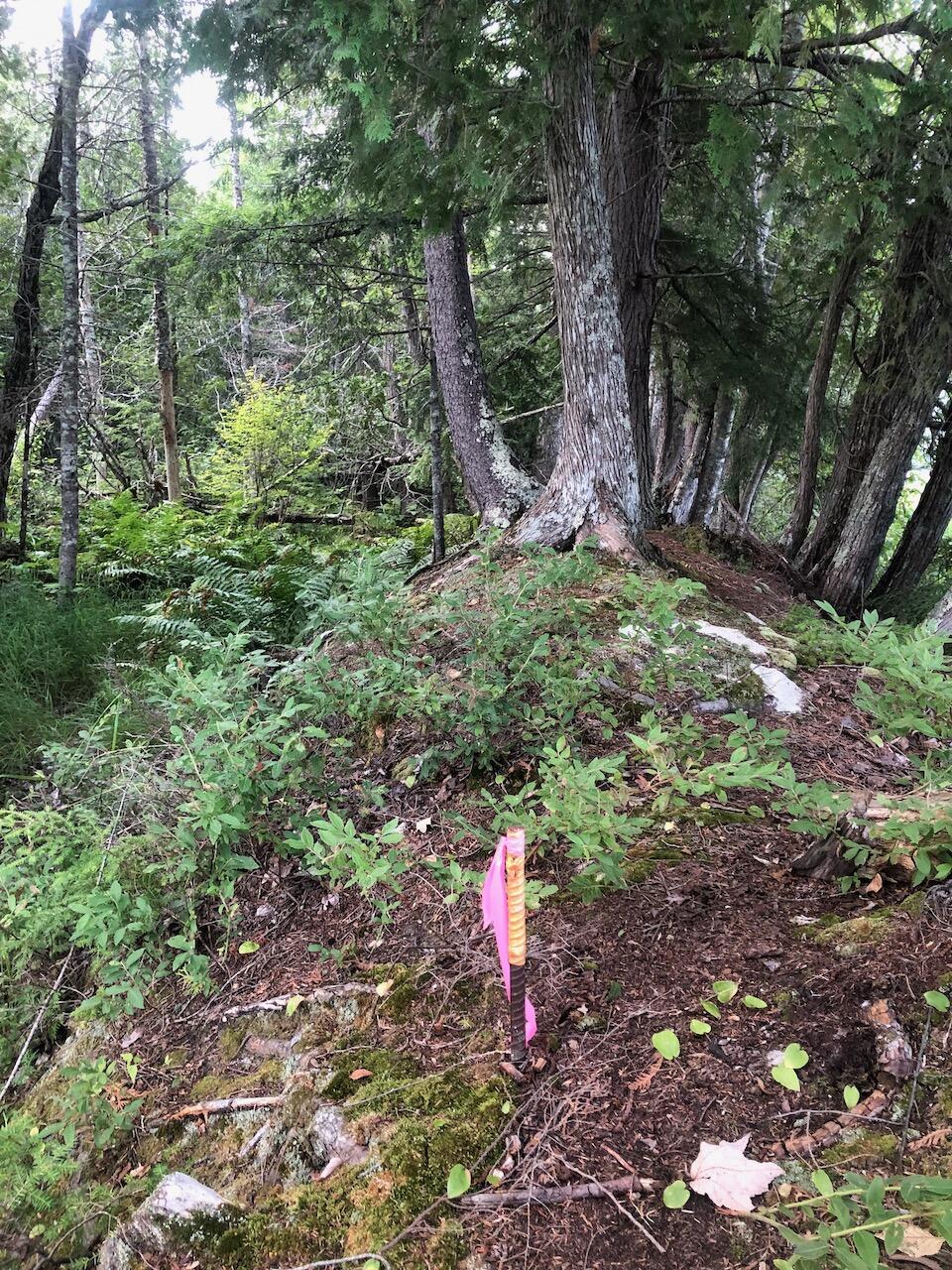 06 Swett Brook Lane Weld ME 04285