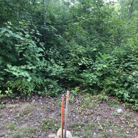 06 Swett Brook Lane Weld ME 04285