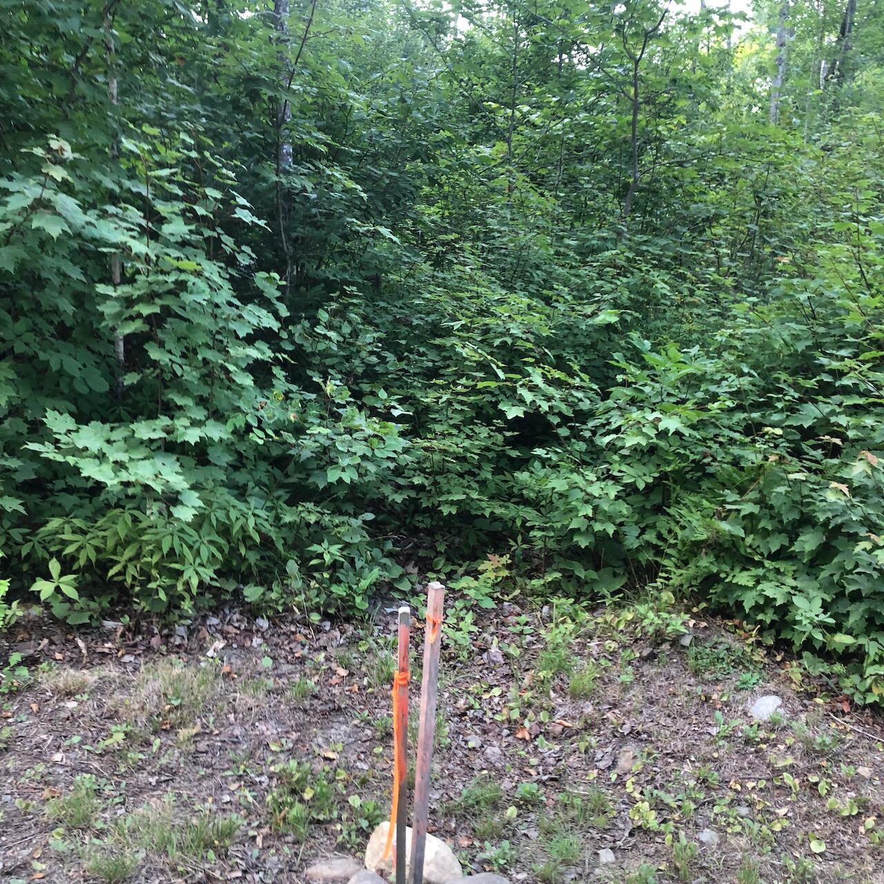 06 Swett Brook Lane Weld ME 04285