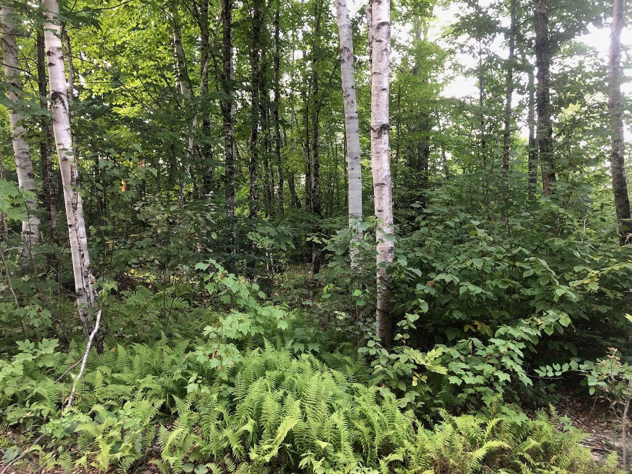 06 Swett Brook Lane Weld ME 04285