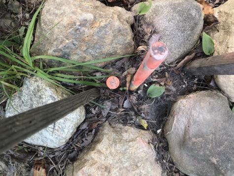 06 Swett Brook Lane Weld ME 04285