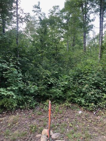 06 Swett Brook Lane Weld ME 04285