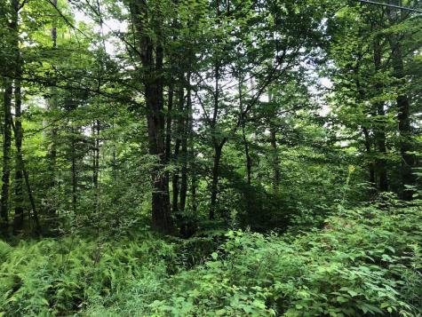 06 Swett Brook Lane Weld ME 04285