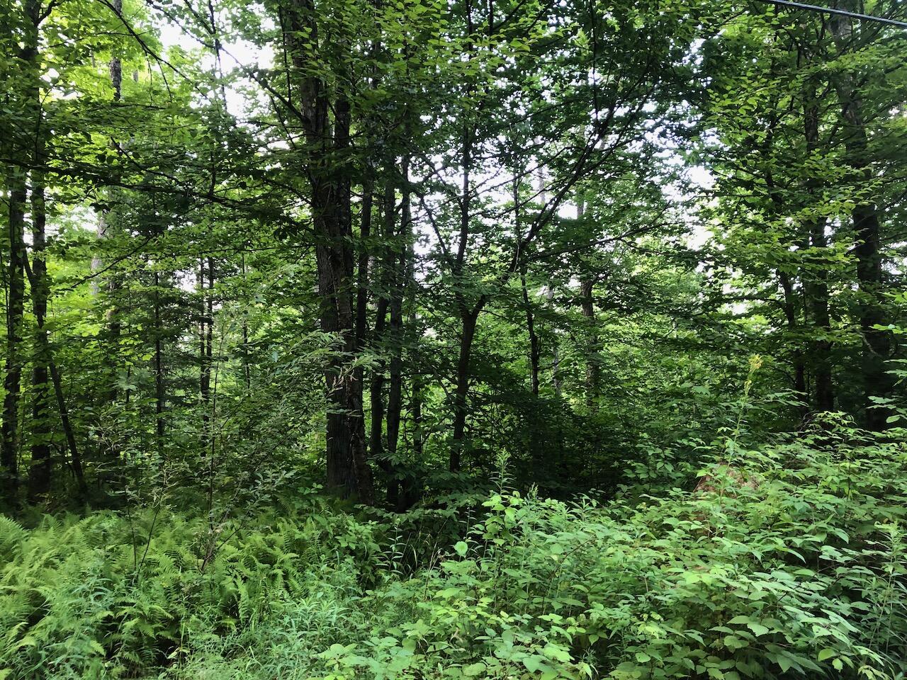 06 Swett Brook Lane Weld ME 04285