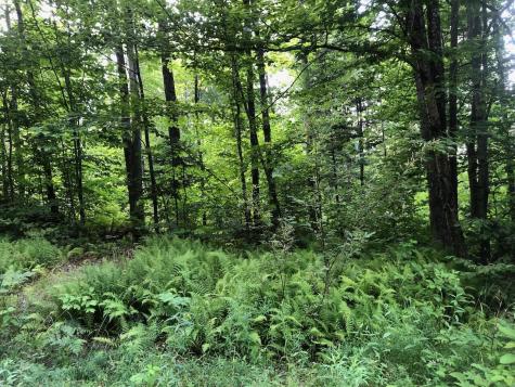 06 Swett Brook Lane Weld ME 04285