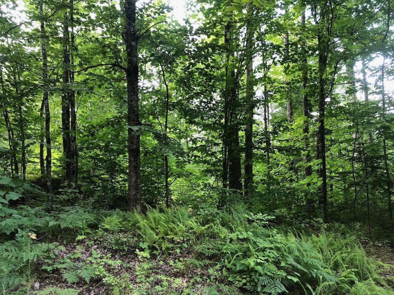 06 Swett Brook Lane Weld ME 04285