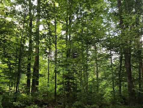 06 Swett Brook Lane Weld ME 04285