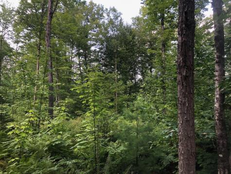 06 Swett Brook Lane Weld ME 04285