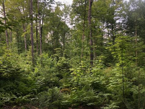 06 Swett Brook Lane Weld ME 04285