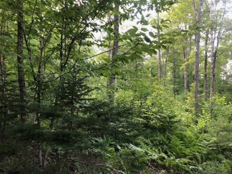 06 Swett Brook Lane Weld ME 04285