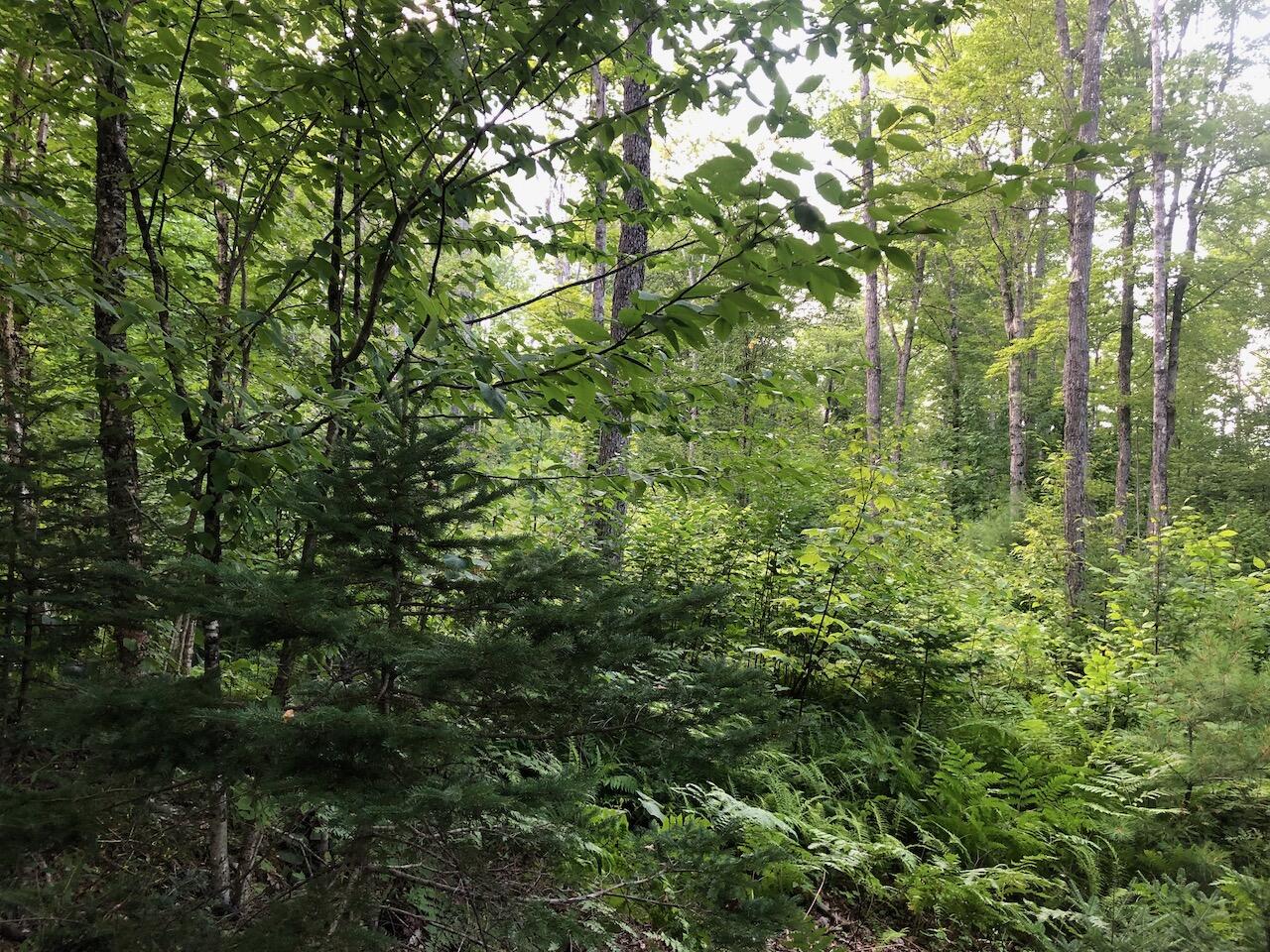 06 Swett Brook Lane Weld ME 04285