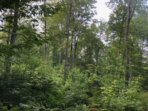 06 Swett Brook Lane Weld ME 04285