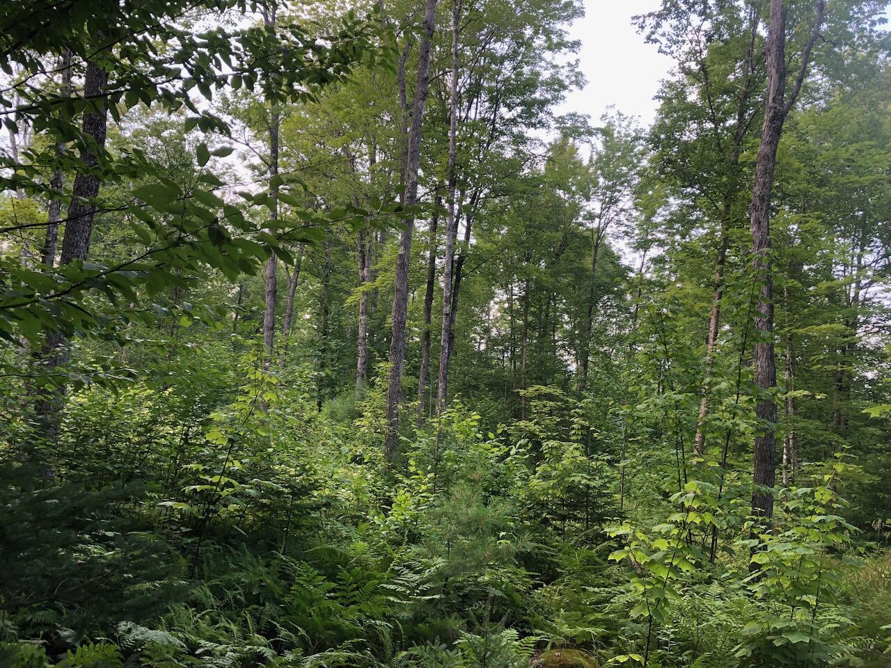 06 Swett Brook Lane Weld ME 04285