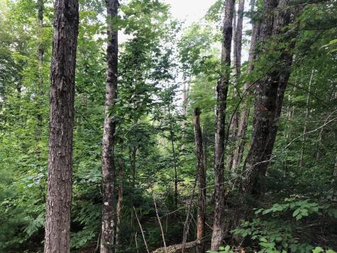 06 Swett Brook Lane Weld ME 04285