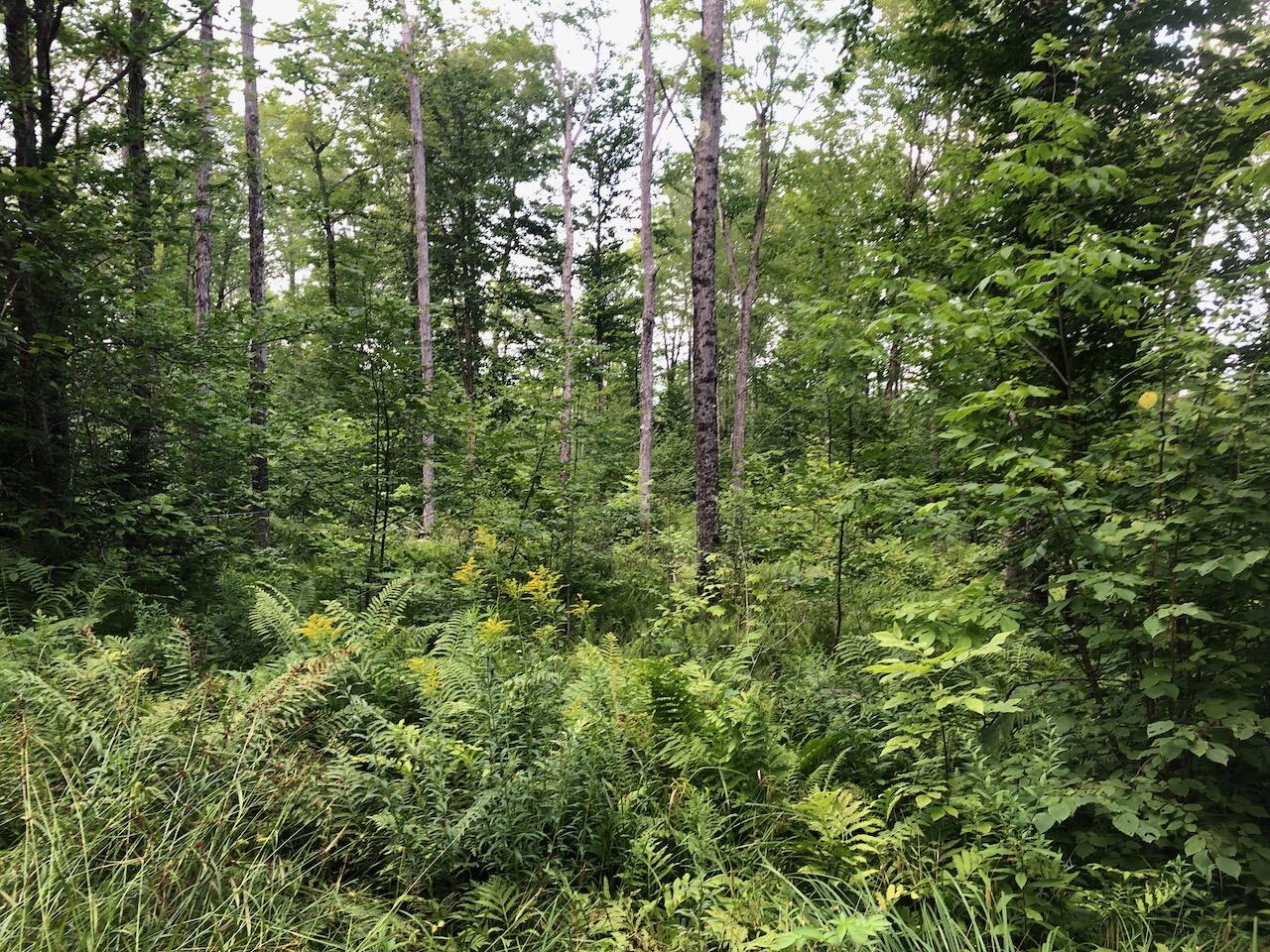 06 Swett Brook Lane Weld ME 04285