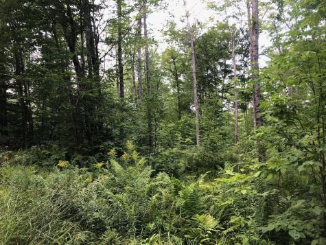 06 Swett Brook Lane Weld ME 04285