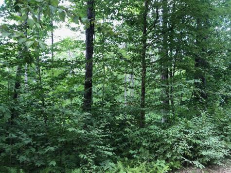 06 Swett Brook Lane Weld ME 04285