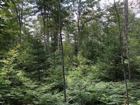 06 Swett Brook Lane Weld ME 04285