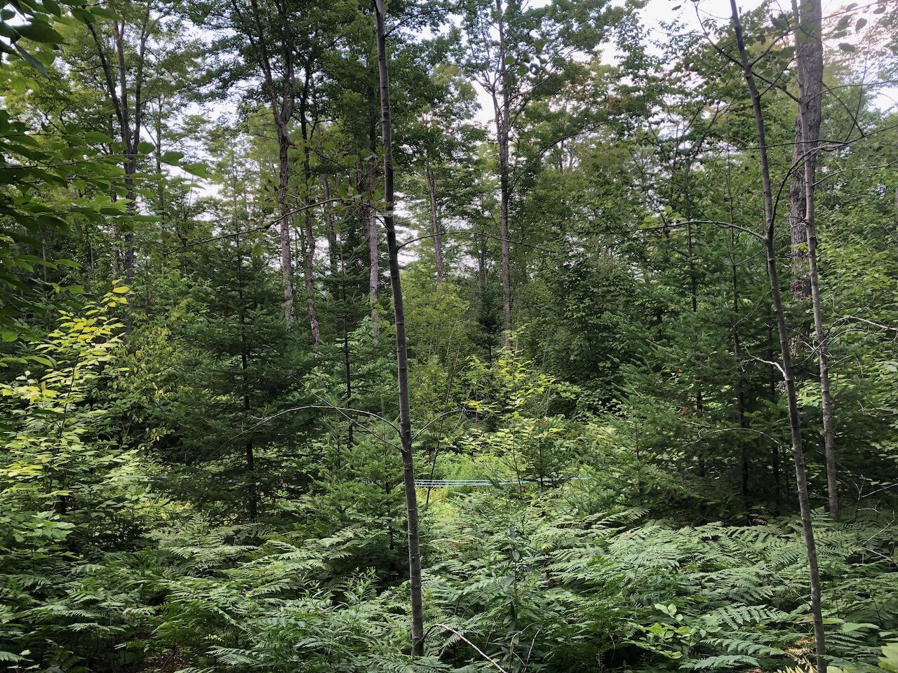 06 Swett Brook Lane Weld ME 04285