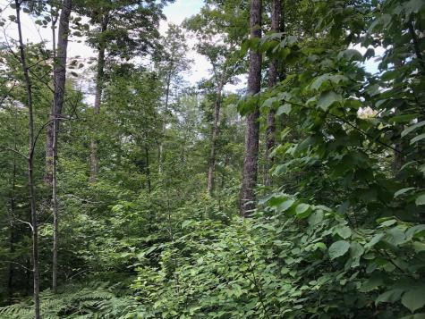 06 Swett Brook Lane Weld ME 04285