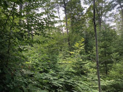 06 Swett Brook Lane Weld ME 04285