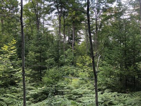 06 Swett Brook Lane Weld ME 04285