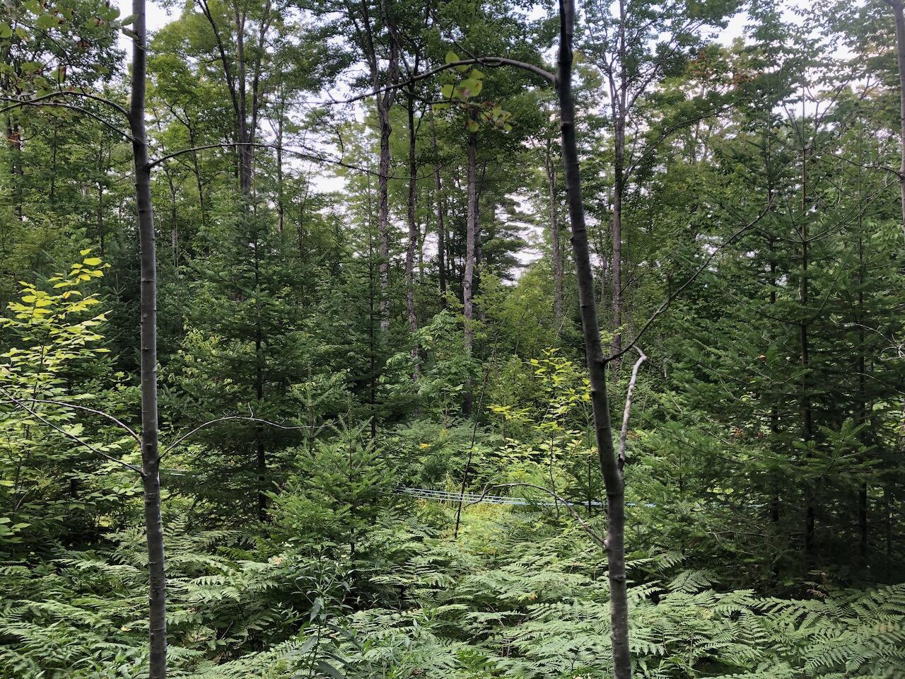 06 Swett Brook Lane Weld ME 04285