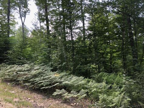 06 Swett Brook Lane Weld ME 04285