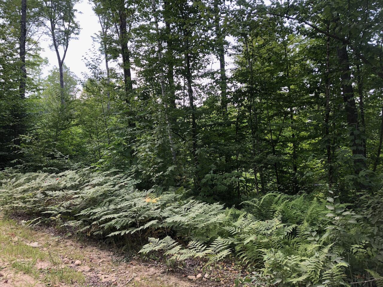 06 Swett Brook Lane Weld ME 04285