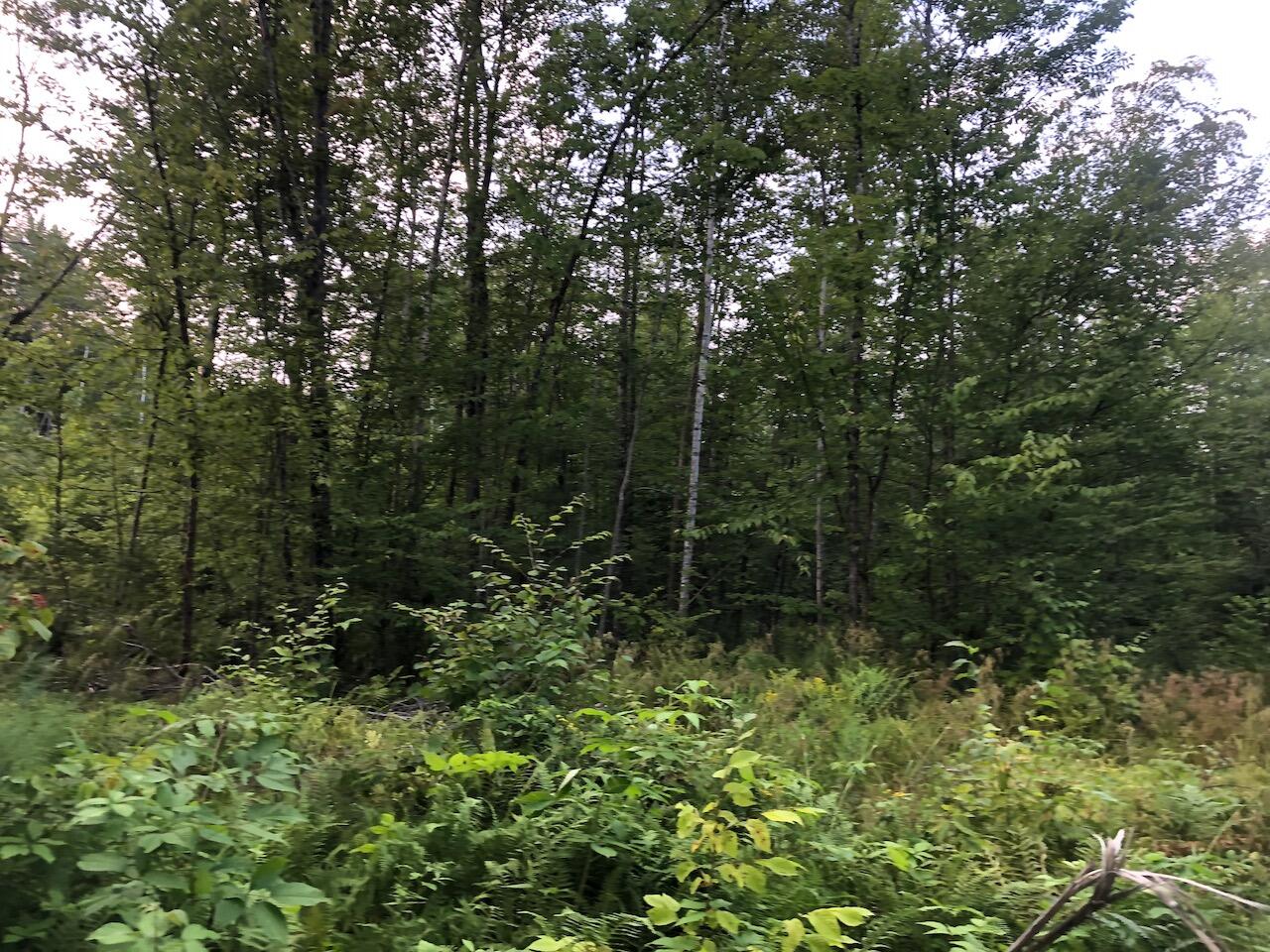 06 Swett Brook Lane Weld ME 04285