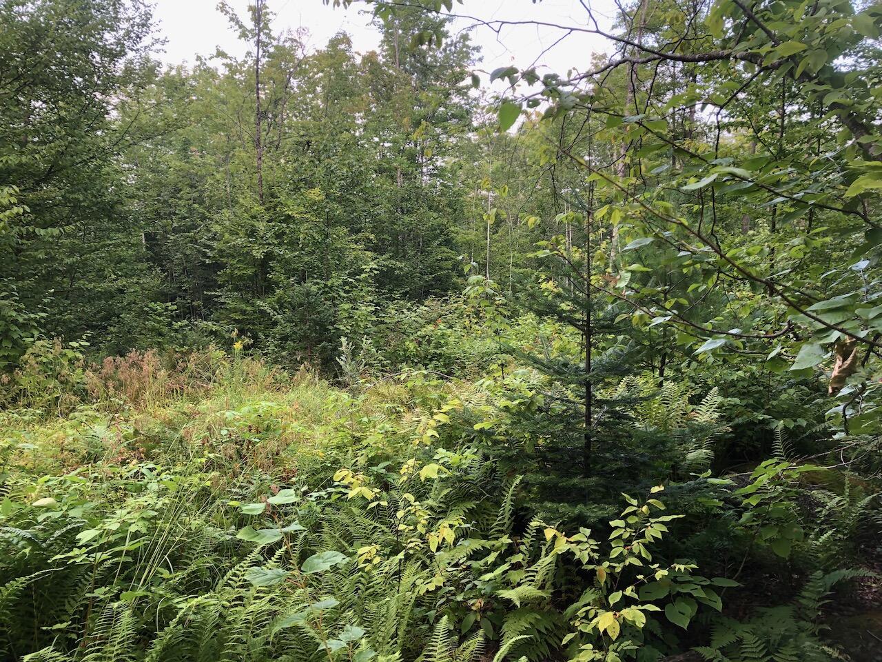 06 Swett Brook Lane Weld ME 04285