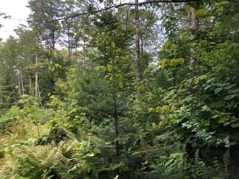 06 Swett Brook Lane Weld ME 04285