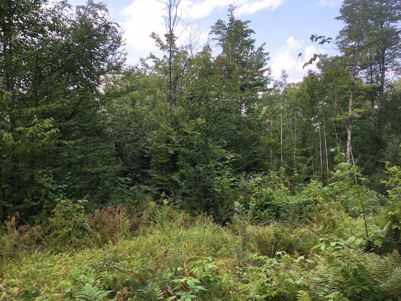 06 Swett Brook Lane Weld ME 04285