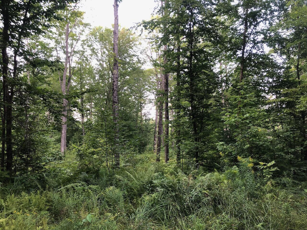 06 Swett Brook Lane Weld ME 04285