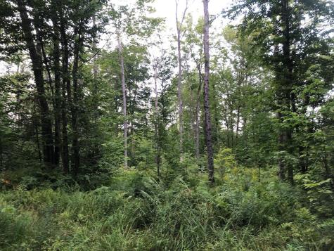 06 Swett Brook Lane Weld ME 04285