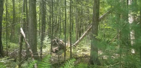 M13, L36, Harland Cunningham Road Penobscot ME 04476