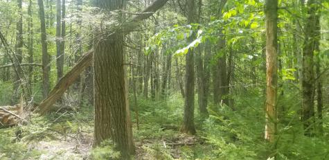 M13, L36, Harland Cunningham Road Penobscot ME 04476