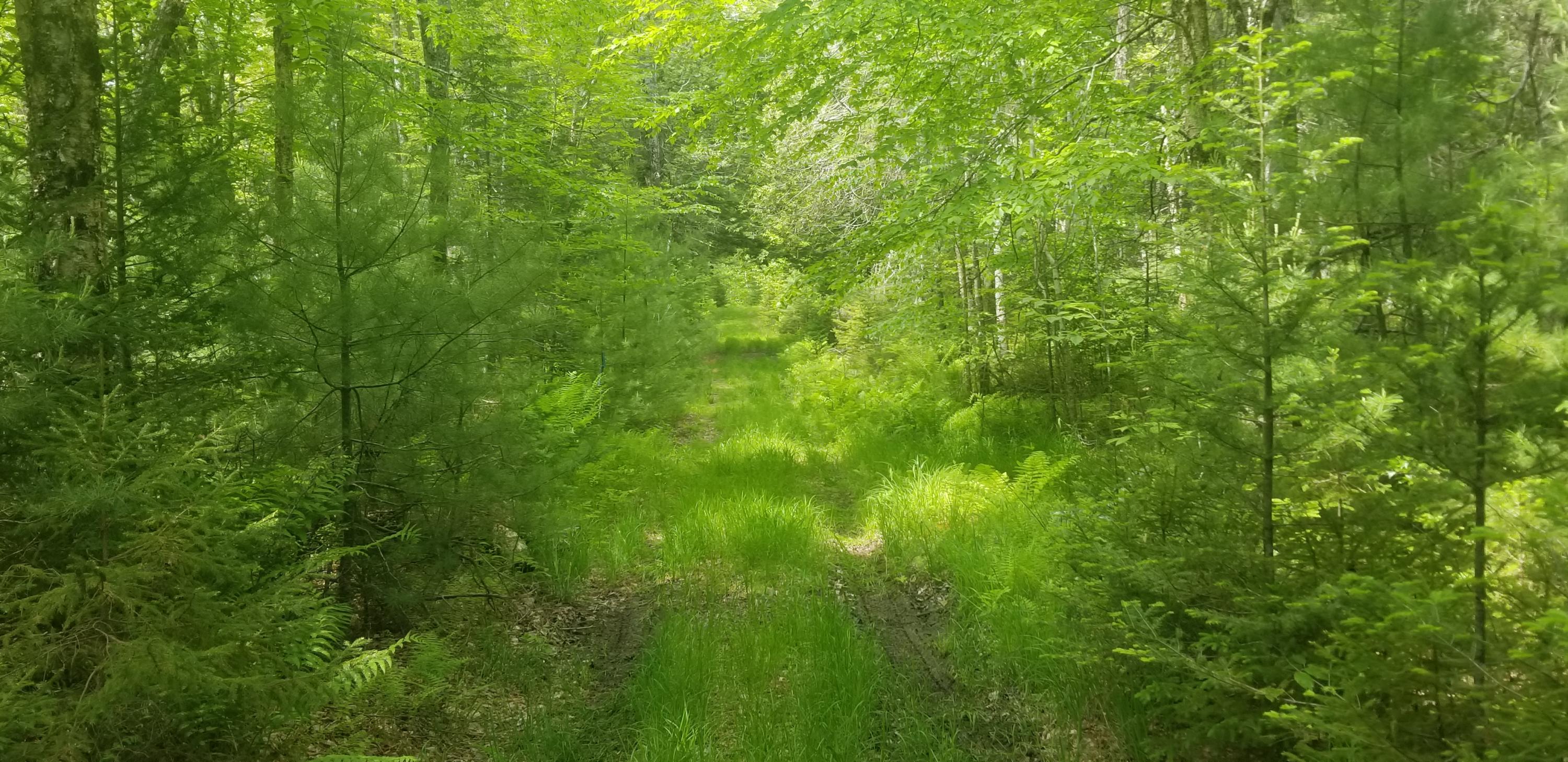 M13, L36, Harland Cunningham Road Penobscot ME 04476