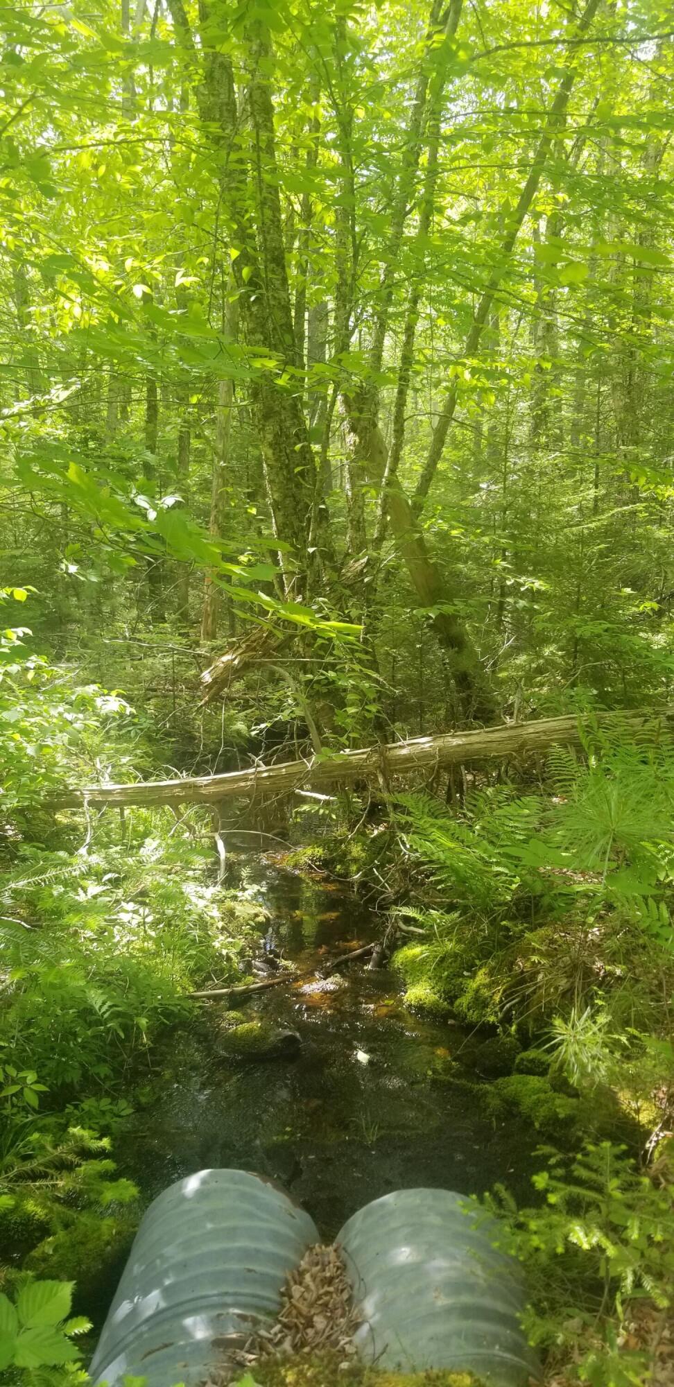 M13, L36, Harland Cunningham Road Penobscot ME 04476