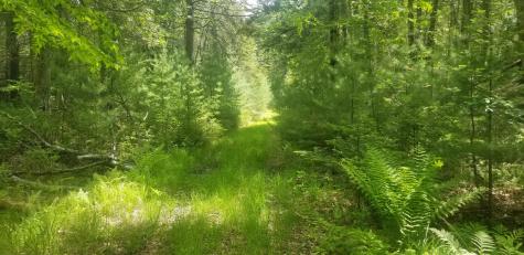 M13, L36, Harland Cunningham Road Penobscot ME 04476