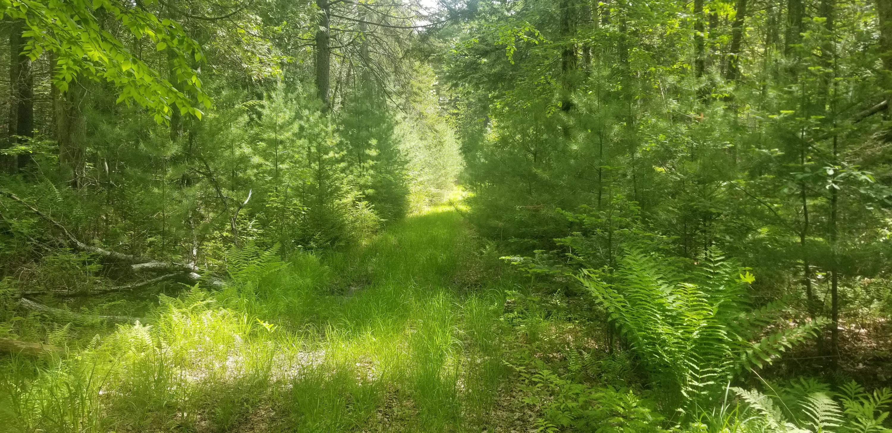 M13, L36, Harland Cunningham Road Penobscot ME 04476