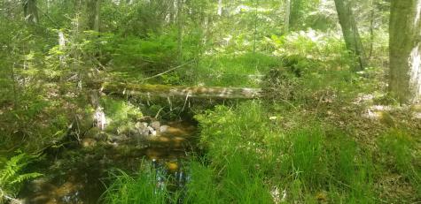 M13, L36, Harland Cunningham Road Penobscot ME 04476