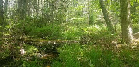 M13, L36, Harland Cunningham Road Penobscot ME 04476