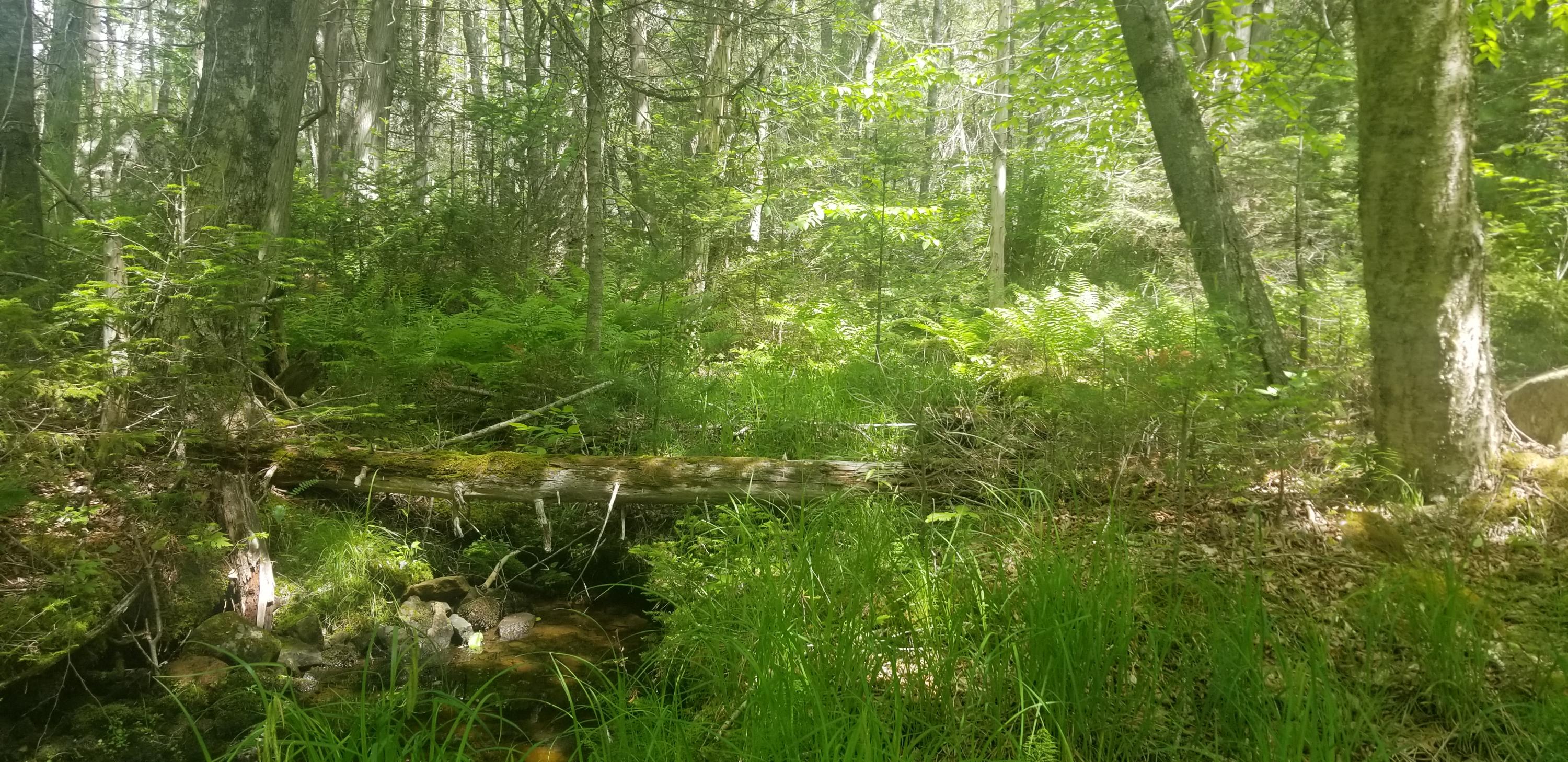 M13, L36, Harland Cunningham Road Penobscot ME 04476