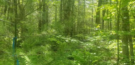 M13, L36, Harland Cunningham Road Penobscot ME 04476