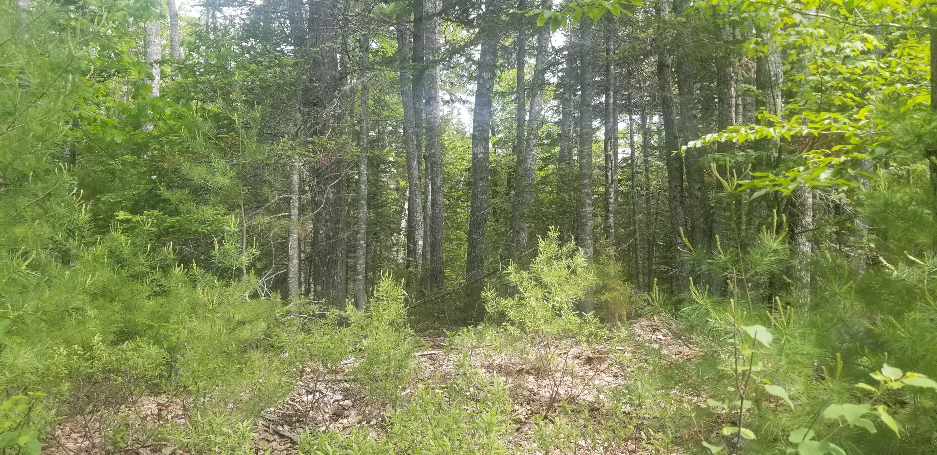 M13, L36, Harland Cunningham Road Penobscot ME 04476