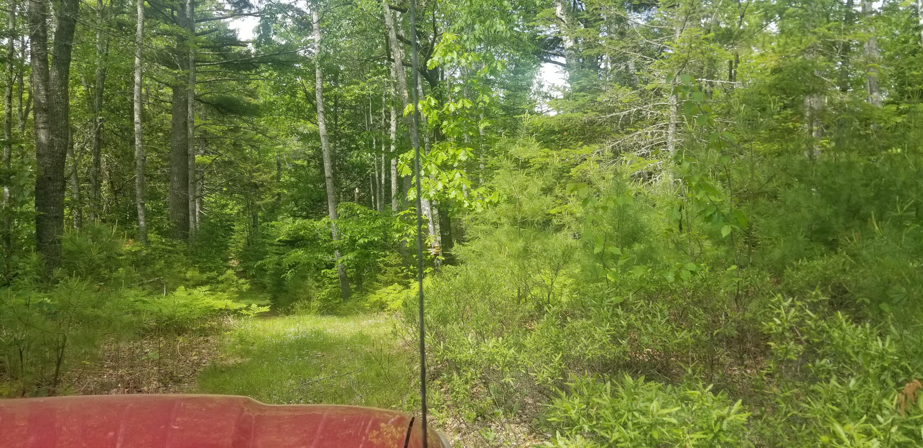 M13, L36, Harland Cunningham Road Penobscot ME 04476