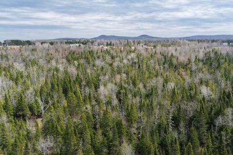 M9 L1-a Chapman Road Chapman ME 04757