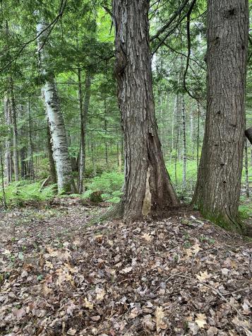 Tbd Spruce Drive Anson ME 04911